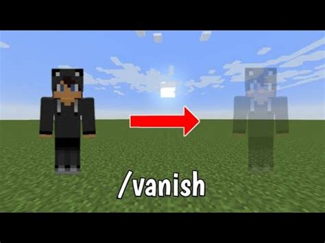 How to Vanish in Minecraft Java 的图像结果