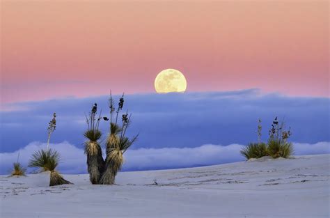 White Sands New Mexico White Sands National Park: A Complete Guide