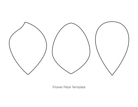 7 Best Images of Paper Flower Petal Template Printable - Printable ...