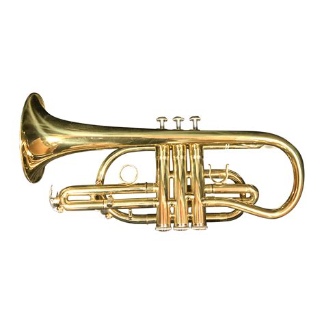 Image result for Cornet Musical Instrument