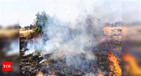 Pernem plateau fire ravages large tracts of farmland | Goa News - Times ...
