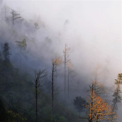 雾 - 景观 - 山 - 自然 - 天空 - 风景 - 山 - 天空图片免费下载 - 觅知网