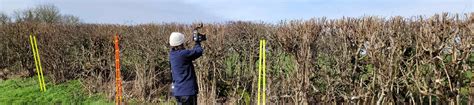 Natural Capital Evaluation of Hedgerows in England | Kew