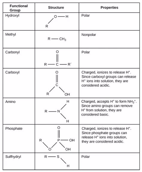 Image result for Types Functional Groups