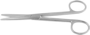 Forgesy Straight Mayo Scissor 6.5" inch Mayo Scissors Price in India ...