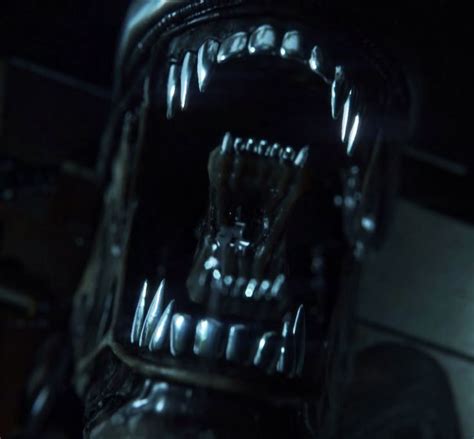 Image result for Alien Isolation 3D-models