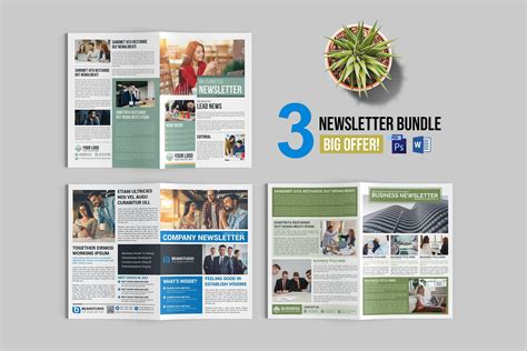 Newsletter Design 的图像结果