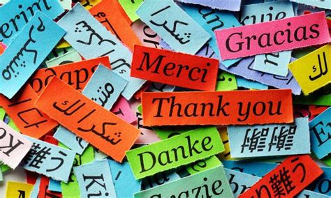 Universal System Language 的图像结果