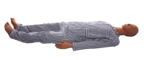 Adult Nursing & Auscultation Manikin – REVITI