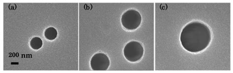 Precipitation of Pt Nanoparticles inside Ion-Track-Etched Capillaries