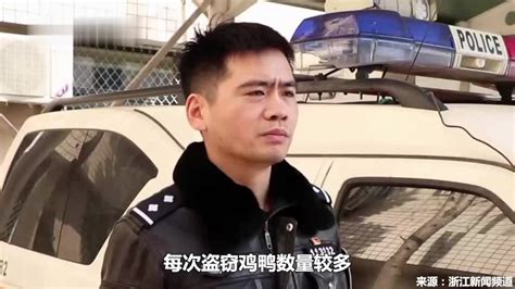 馋"土味"?男子组团狂偷39只鸡鸭 吃不完还腌上了_凤凰网视频_凤凰网