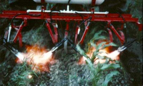 Hububatta Yabancı Ot Mücadelesi