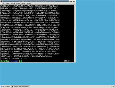 How to Pull RSA Token From EXEFile 的图像结果
