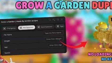 Image result for How to Add Keyless Script in Gag