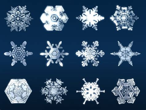 Image result for Snowflake Query Profile