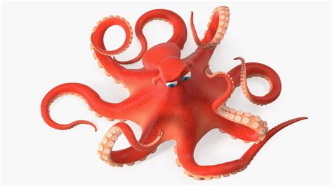Image result for Octopus Moving