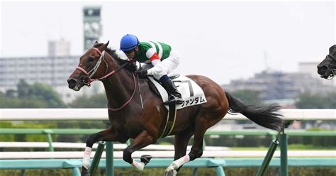 【2歳次走報】ファンダムはジュニアCを目標に - サンスポZBAT!
