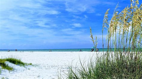 Siesta Key Pier Florida Florida Beach Ranked Among The Best In The