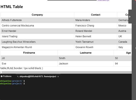 VBA HtmlTable 的图像结果