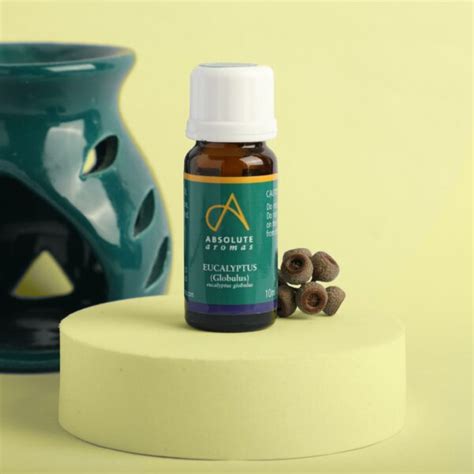 Eucalyptus Globulus Essential Oil | Aromas Eucalyptus Oil Uses