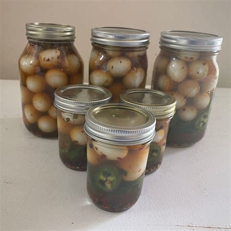 Looking For The Best Pickled Quail Eggs - Rabbit Meat For Sale Online