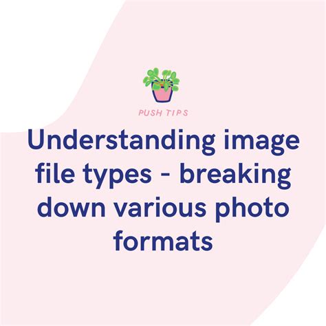 Image result for Image File Formats