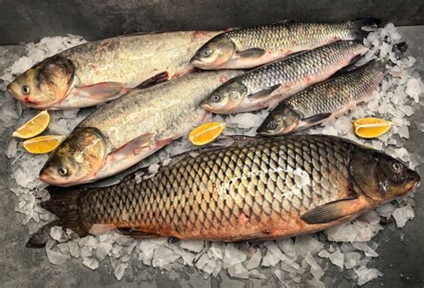Осетрович - доставка рыбы и морепродуктов СПб | Заказать доставку можно ...