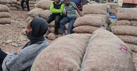 शेतकऱ्यांनो, बाजार समितीत तुमची अशी होतेय सर्रास फसवणूक; येथे तातडीने ...