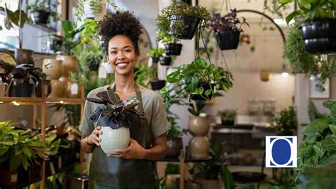 Small Business Insurance Coverage 的图像结果