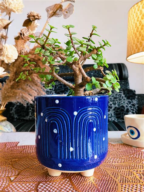 Ceramic Pots & Planters, Bathroom Sets, Kitchenware – Niyara