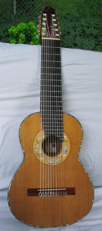 Image result for Ten-String Guitar