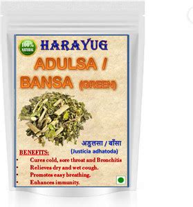 HARAYUG BANSA GREEN - MALABAR NUT- VASA - ADUSA - ADHATODA VASICA Seed ...