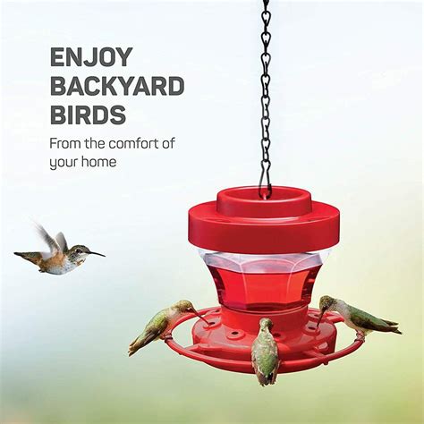 Best Hummingbird Feeder Gift at Bernardo Kuebler blog