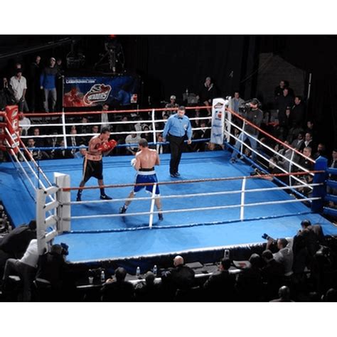 Pro Boxing 的图像结果