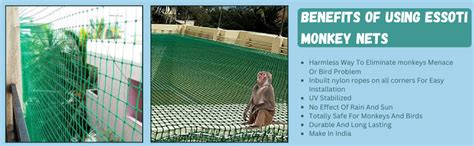 Buy Essoti Monkey Net/Cricket Net/Children safety net/Nylon - (8X18 FT ...