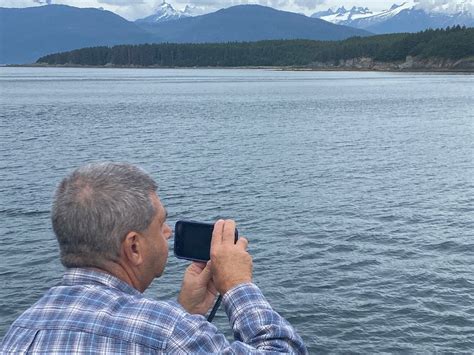 WHALE WATCHING AND WILDLIFE QUEST (2026) All You SHOULD Know Before ...