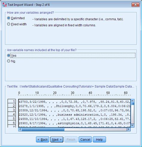 How to Import File in SPSS 的图像结果