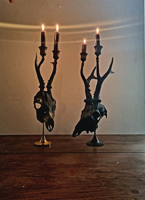 Real Roe Deer Skull Gothic Candle Holder Black, Alternative Moody Decor ...