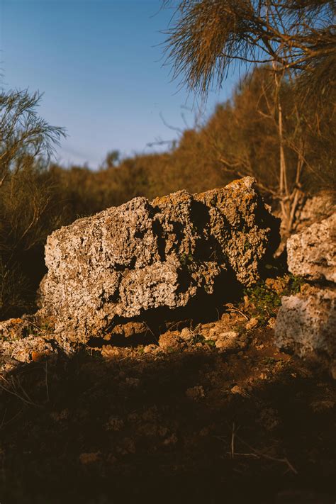 Image result for Earth Blocks Texture