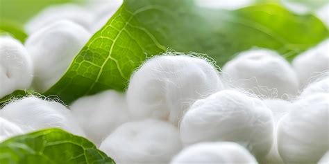 The Magic of Silk: A Fabric That Transcends Time and Trends