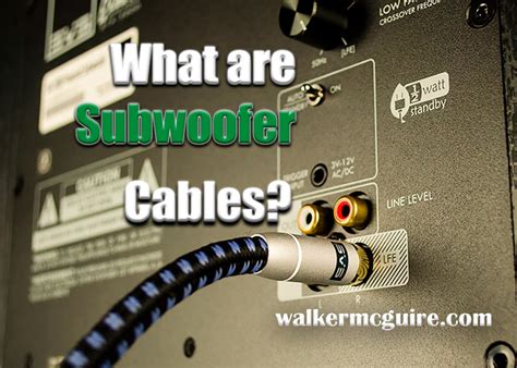 Lfe Subwoofer Connection 的图像结果