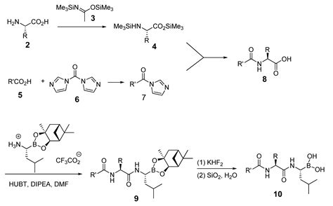Bortezomib Congeners Induce Apoptosis of Hepatocellular Carcinoma via ...