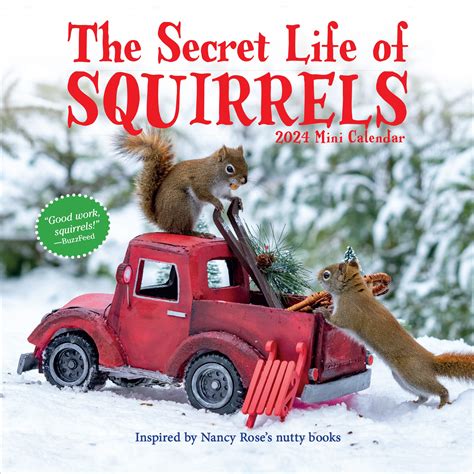 Snapklik.com : The Secret Life Of Squirrels Mini Calendar 2024: Delightfully Nutty Squirrels