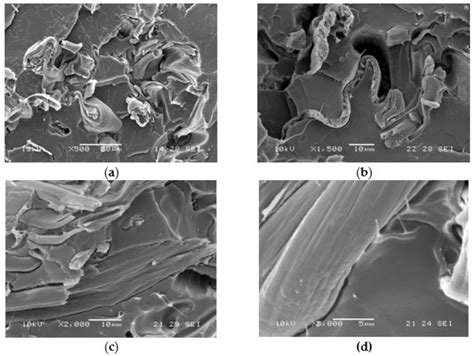 Compatibilization of Poly(Lactic Acid) (PLA)/Plasticized Cellulose ...