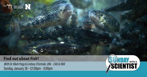 Sunday with a Scientist: Find out about Fish!, 645 North 14th St - UNL ...