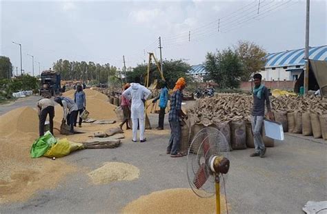 SDM की रडार पर गेहूं के फर्जी खरीद केंद्र, कई आढ़तियों व अधिकारियों पर ...