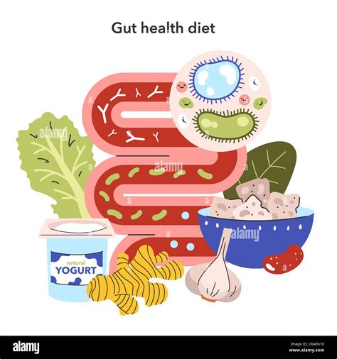 Gut Health Diet concept. Nutritional elements supporting digestive wellness with probiotics ...