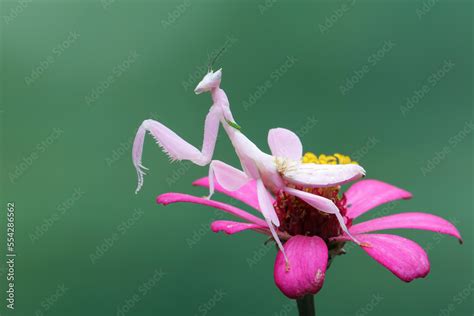 Image result for Blog.html Design