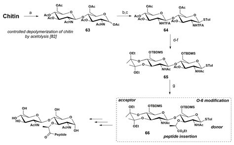 Assembly of Peptidoglycan Fragments—A Synthetic Challenge