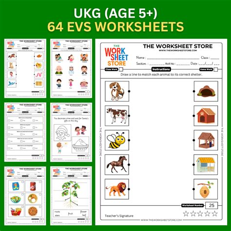EVS Worksheets for UKG (Age 5+) | 64 Pages – The Worksheet Store